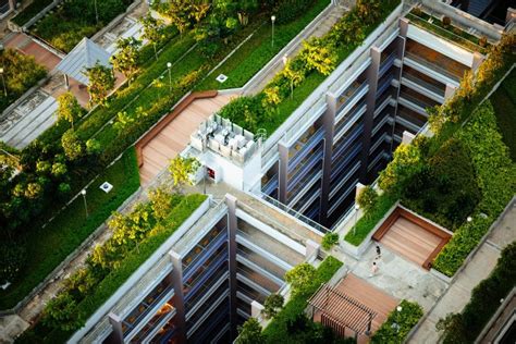 green-roof-drainage-system-design - Capcon Engineering Ltd