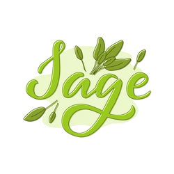 Sage Logo Vector Images (over 310)