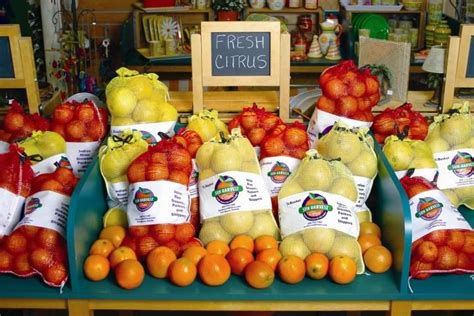 Sun Harvest Citrus - See & Do - Fort Myers & Sanibel | Sanibel, Florida citrus, Fort myers