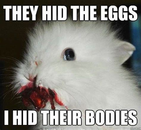 Are You Easily Creeped Out? | Happy easter funny, Bunny meme, Animal memes