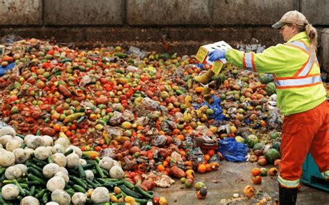 El Mundo Desperdicia Millones De Toneladas De Alimentos Cada Año Dice