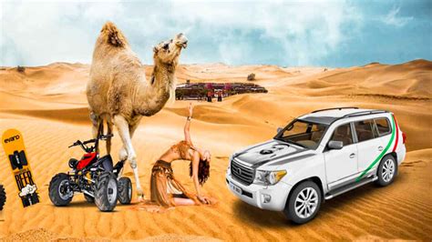 Best Desert Safari Dubai Arrangements - Dieu Hoa Trung Tam