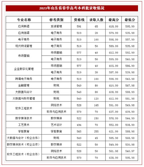 2024山东外国语职业技术大学录取分数线（含2022 2023历年）大学生必备网