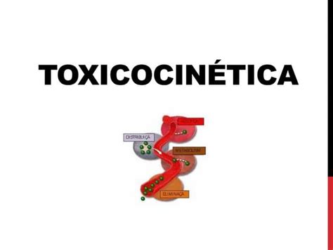 Aula 3 Toxicocinética Introdução E Conceitos Gerais Ppt