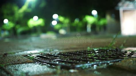 Storm Sewer Water Canal Clogged With Sludge Silt Duckweed Stock Video