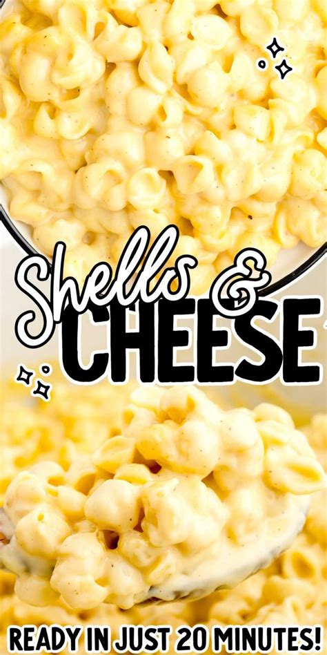 Delicious And Creamy Our Shells And Cheese Are Easy To Make And Loaded