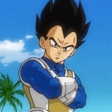 Goku And Vegeta Matching Pfp [profile Pictures And Avatars]