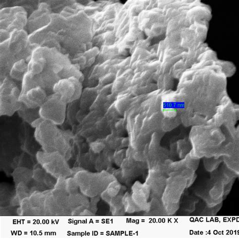 Fesem Micrographs Of Bafe12o19 Particles Download Scientific Diagram