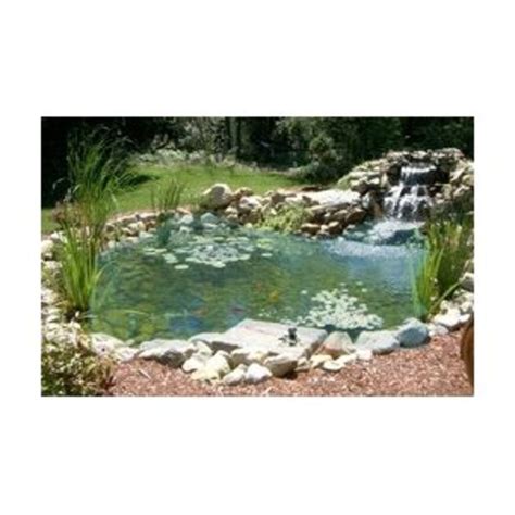 Build a Classroom Frog Pond | HubPages