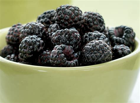 The Difference Between Black Raspberries And Blackberries Black