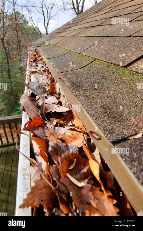 Roof Gutters Clogged Up With Fallen Leaves Stock Photo Alamy