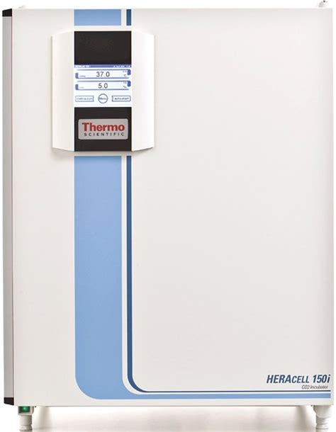 Thermo Scientific HERAcell Midi 150 CO2 Incubator TC Sensor McQueen