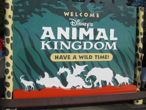 Disneys Animal Kingdom Cant Miss List The Walt Disney World Blog