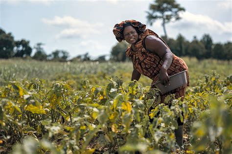 La Côte Divoire Sur La Voie De La Transformation Structurelle New