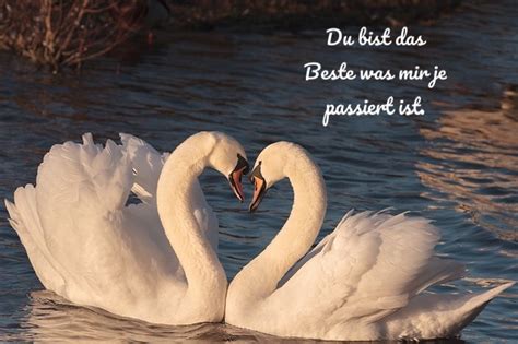 Liebesspr Che Liebe Spr Che Spruchbilder Du Bist Das Beste Was Mir Je