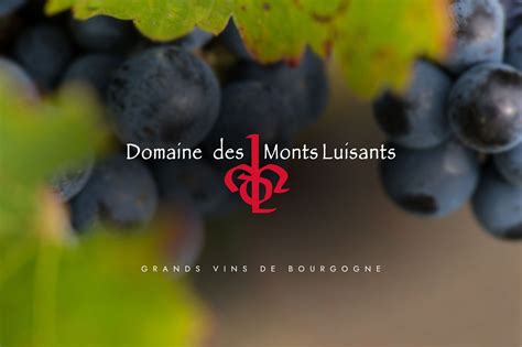 Nos Crus Domaine Des Monts Luisants