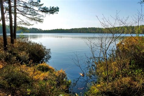 Melnezers Purva Ezers Ķemeru Nacionālais Parks Melnezers Jūrmala