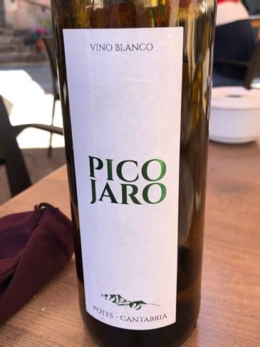 Sierra Del Oso Pico Jaro Blanco Vivino Us