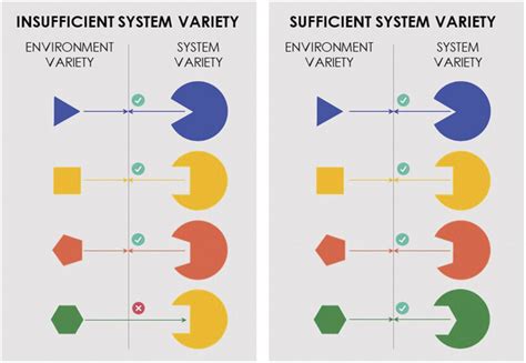 insufficient  sufficient requisite variety reprinted