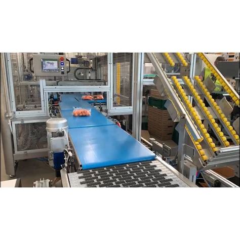 Automatische Verpackungsmaschine Alutec Food Campesato F R Karton