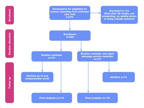 Summary Of Trial Profile Download Scientific Diagram