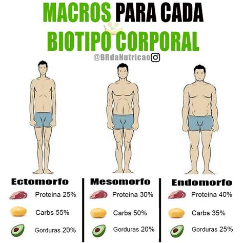 Como Deve Ser A Dieta Para Ectomorfo Ganhar Massa Muscular