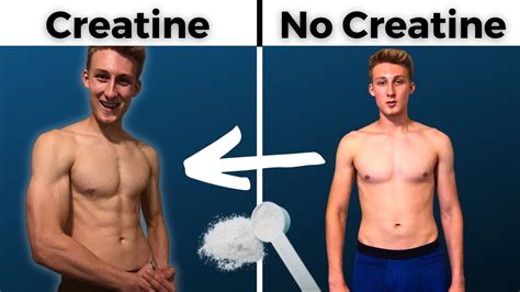 Creatine Results