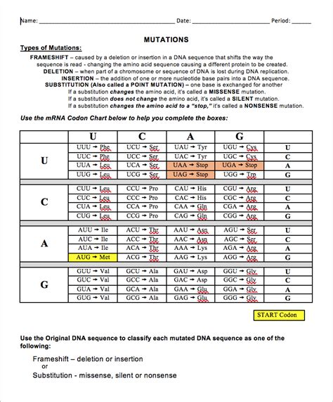 Mutations Worksheet Deletion Insertion And Substitution Studying