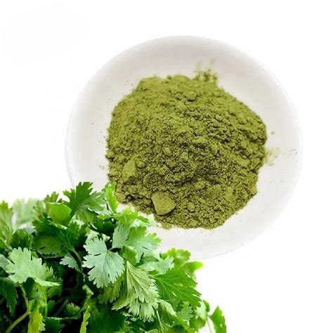 Dehydrated Coriander Leaves Powder Packaging Type Loose At Rs Kg