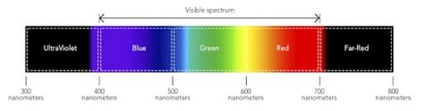 Tuning the Spectrum - An Introduction to Far-Red | Ceres Greenhouse