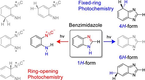 Dual Photochemistry Of Benzimidazole The Journal Of Organic Chemistry