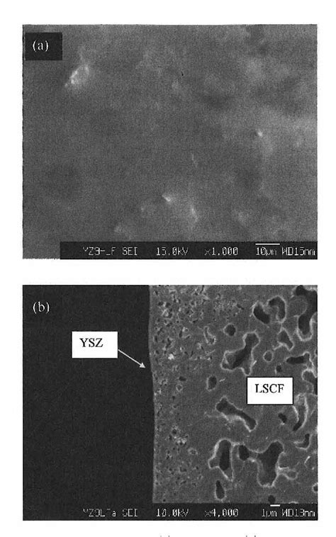 Figure 1 From Fabrication And Electrical Properties Of YSZ Thin Film