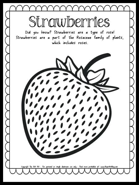 Strawberry Coloring Page With Fun Fact Free Printable The Art Kit