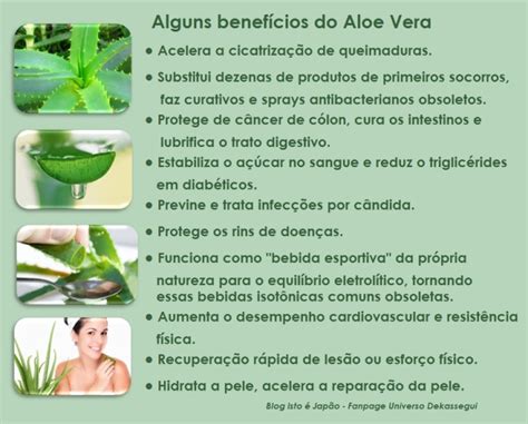 Aproveite O Dia Aloe Vera Babosa