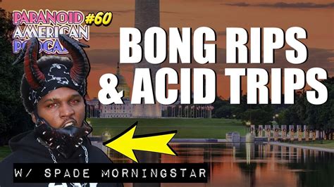 Bong Rips Acid Trips W Spade Morningstar Paranoid American Podcast