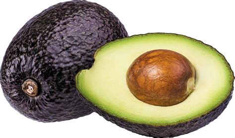 AVOCADO – Season Harvest