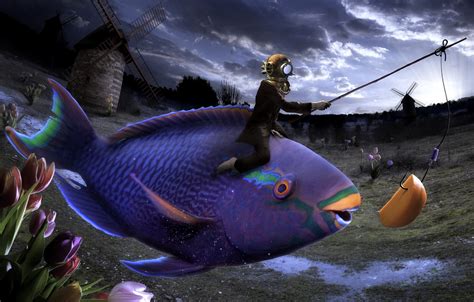 Wallpaper flowers, fish, humor, surreal, absurd images for desktop, section ситуации - download