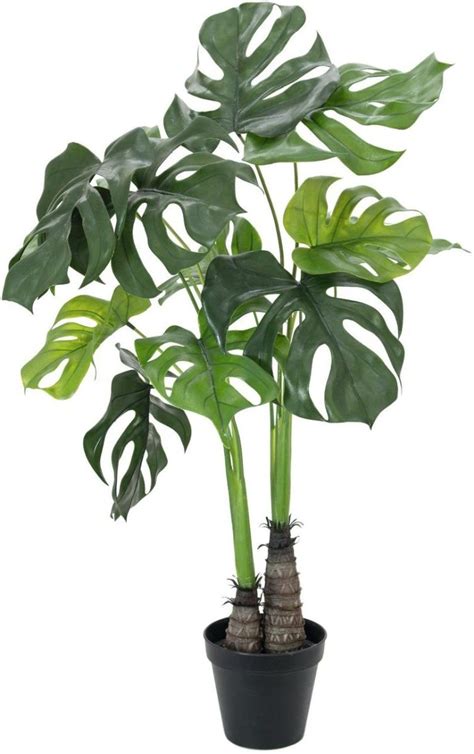 Europalms Monstera Deliciosa Kunstpflanze Cm Pflanzen