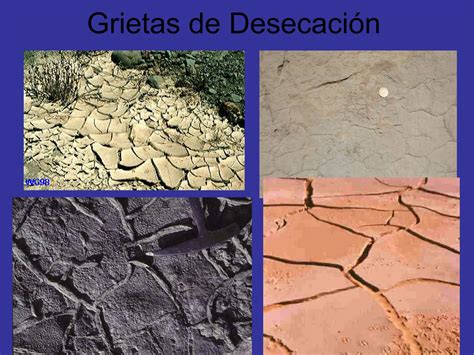 Estructuras Sedimentarias Geologia Escturctural Ppt