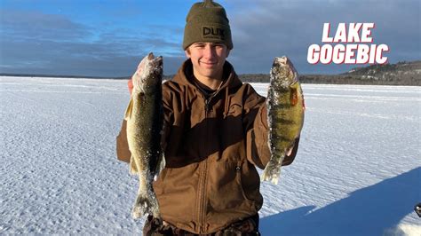 Ice Fishing Big Walleyes On Lake Gogebic NON STOP FLAGS Jumbo Perch