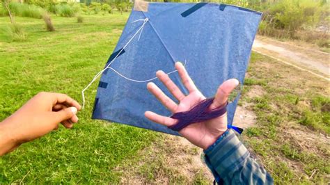 Caught Kites Looting Kite Forest Kite Catching Youtube