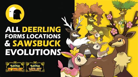 All DEERLING FORMS Locations SAWSBUCK Evolutions Pokemon Scarlet And