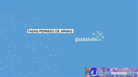 Gu A Completa C Mo Rellenar El Modelo Para La Renovaci N De Armas