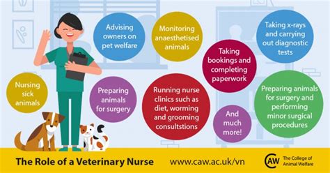 Veterinary Nursing Awareness Month Is Veterinary Nursing The Career