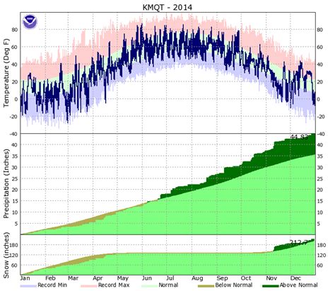 Rainforest Rainfall Graph