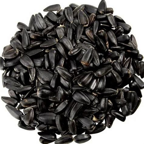 Dried Black Hybrid Sunflower Seeds For Agriculture Packaging Type Pp