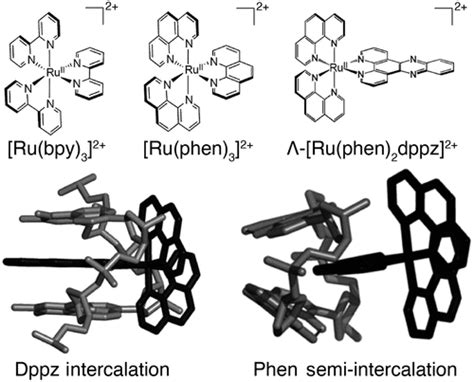 Whither Second Sphere Coordination Ccs Chem