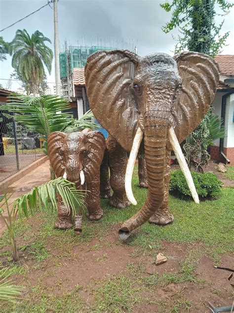 National Museum Of Kenya Tortoisepath Kenya 🇰🇪