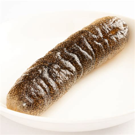 Australia Dried Sea Cucumber Sandfish Wen Tu Shen M Pcs Kg