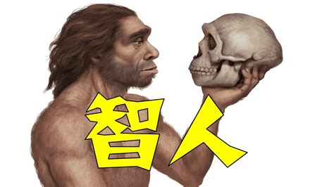 改写人类迁徙史的老挝洞穴智人抵达东亚比我们预想的要早Homo sapiens YouTube